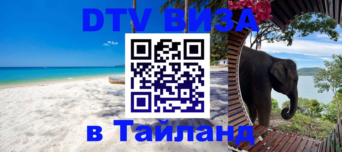 Оформление DTV визы под ключ: стоимость и тарифы, только загранпаспорт - 18.11.2025 